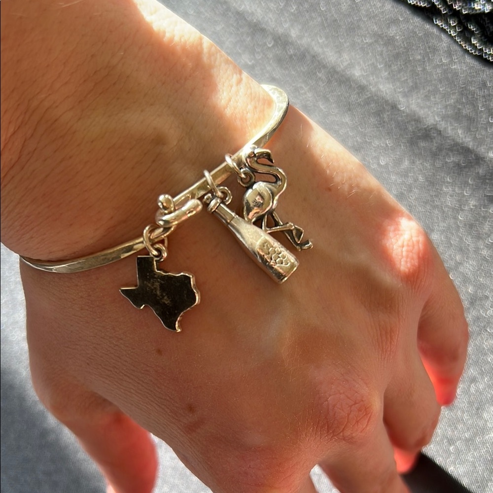 Sterling Silver Charm Bracelet with Texas, Flamingo, and wine bottle